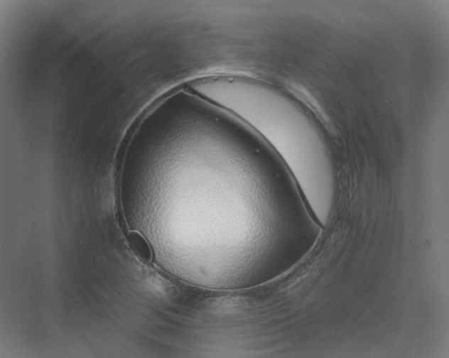 X0000070231268200606021338