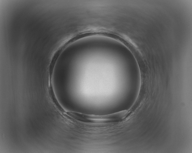 X0000070231269200606021338