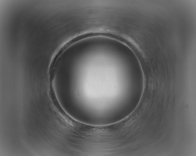 X0000070231270200606021338