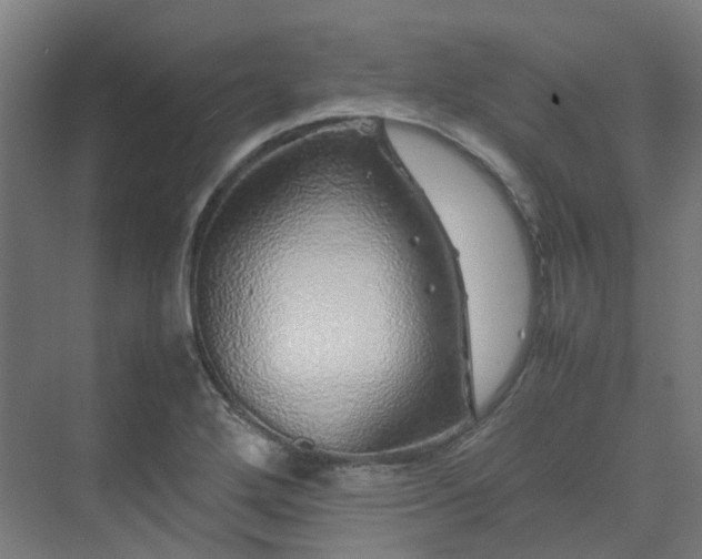 X0000070231272200606021338