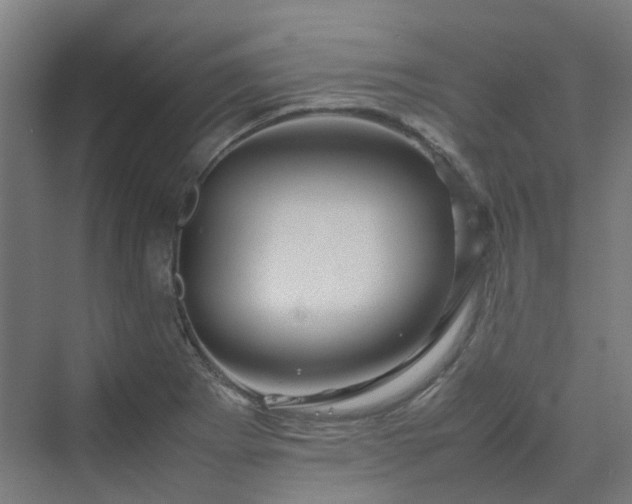 X0000070231273200606021338