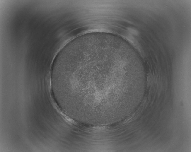 X0000070231274200606021338