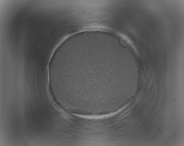 X0000070231275200606021338