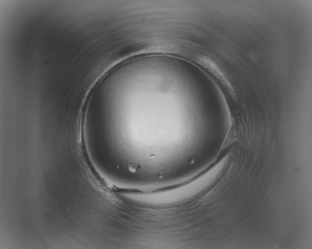 X0000070231276200606021338