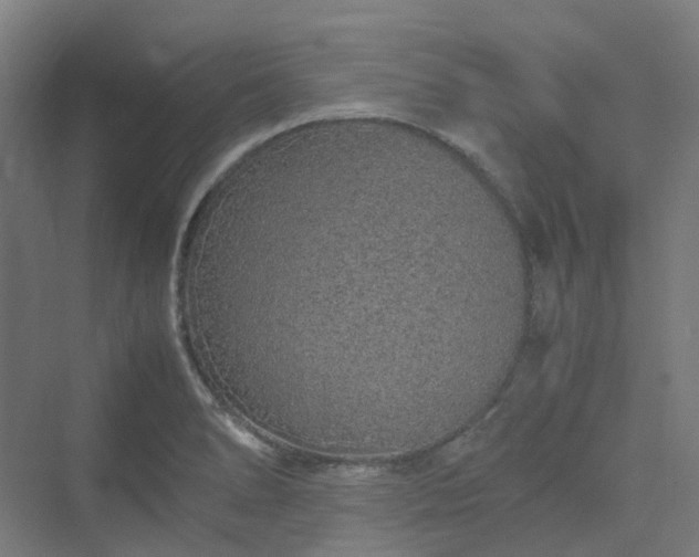 X0000070231278200606021338