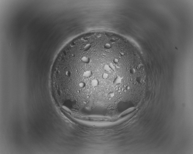 X0000070231279200606021338