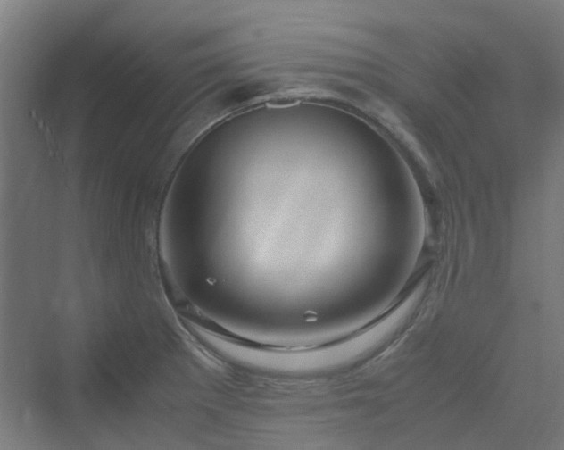 X0000070231281200606021338