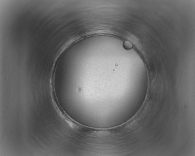 X0000070231282200606021338