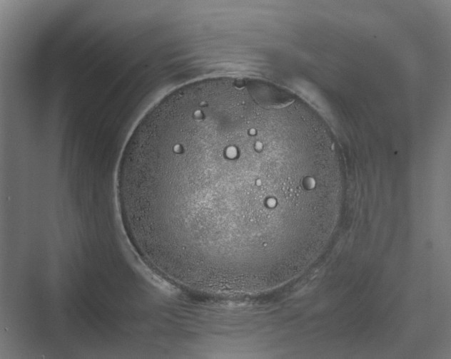 X0000070231283200606021338