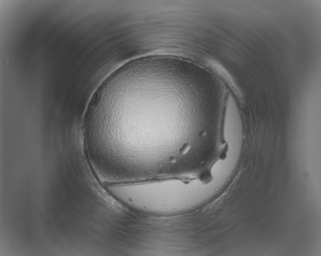 X0000070231284200606021338