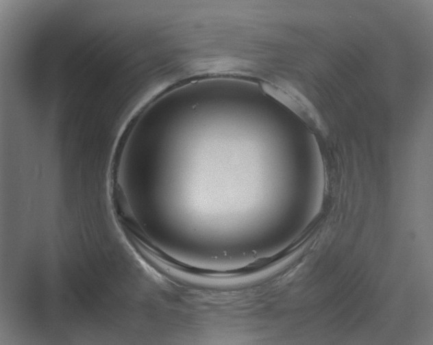 X0000070231285200606021337