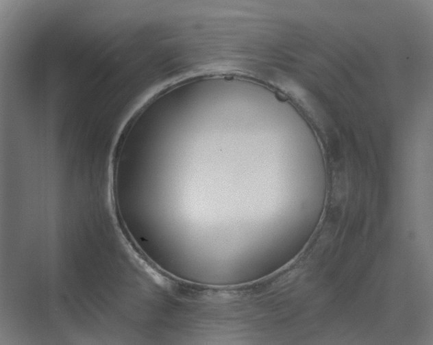 X0000070231286200606021337