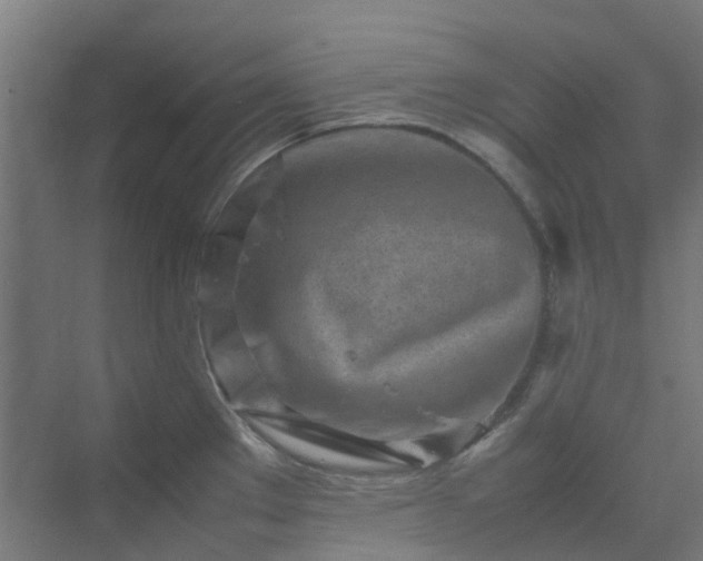 X0000070231289200606021337