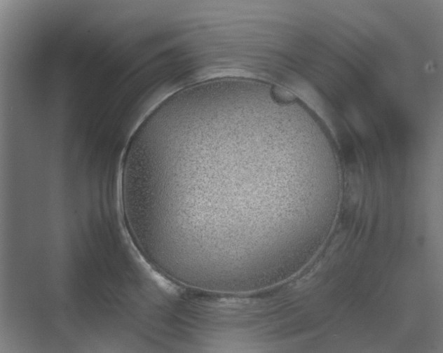 X0000070231290200606021337