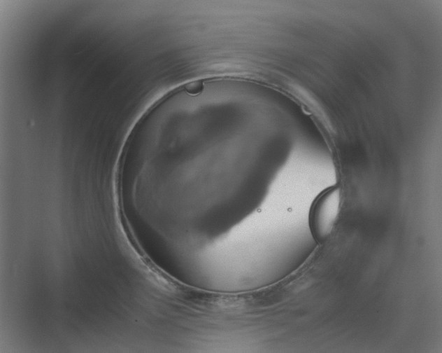 X0000070231291200606021337