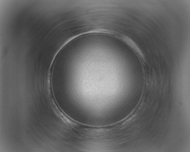 X0000070231292200606021337