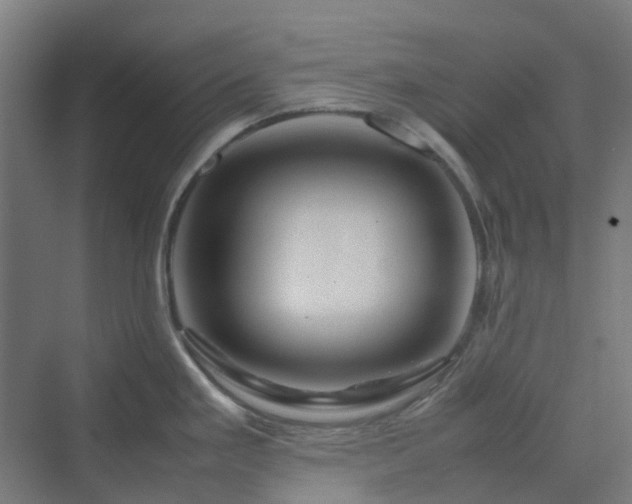 X0000070231293200606021337