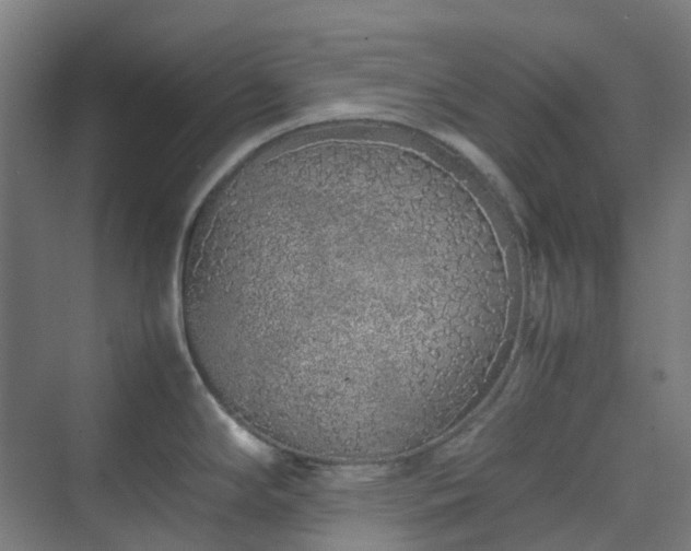 X0000070231294200606021337