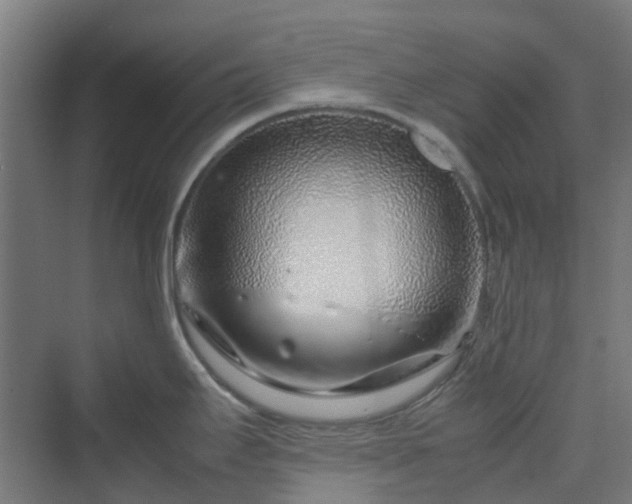 X0000070231295200606021337