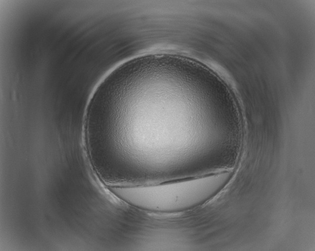 X0000070231296200606021337