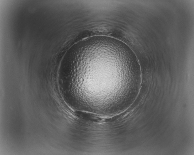 X0000070231297200606021336