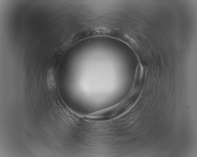 X0000070231298200606021337