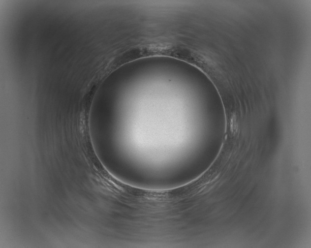 X0000070231299200606021337