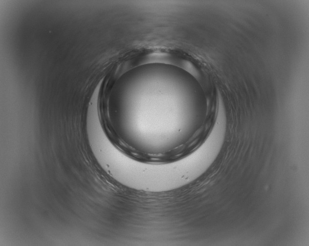 X0000070231300200606021337