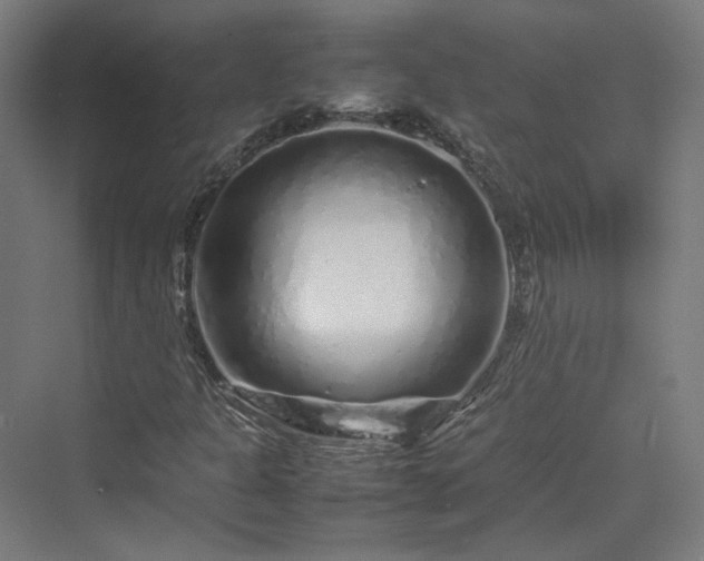 X0000070231301200606021337