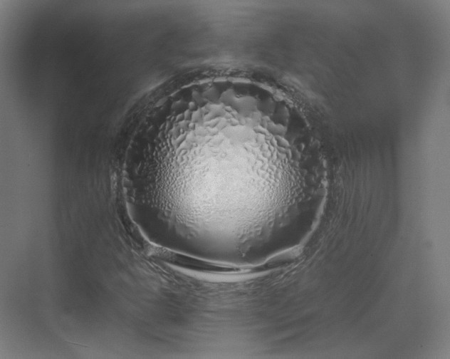 X0000070231302200606021337