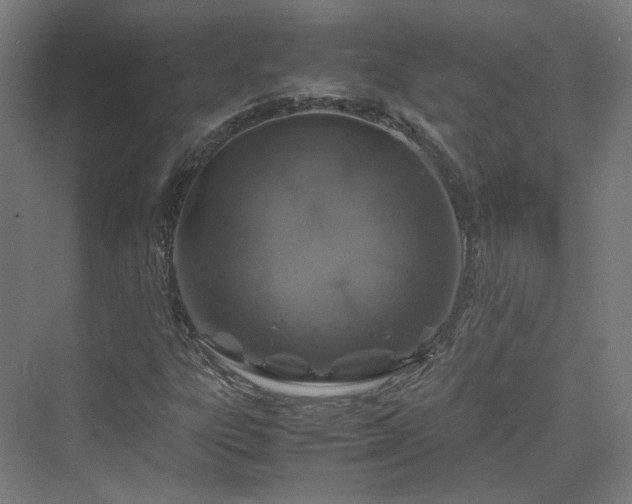 X0000070231303200606021337