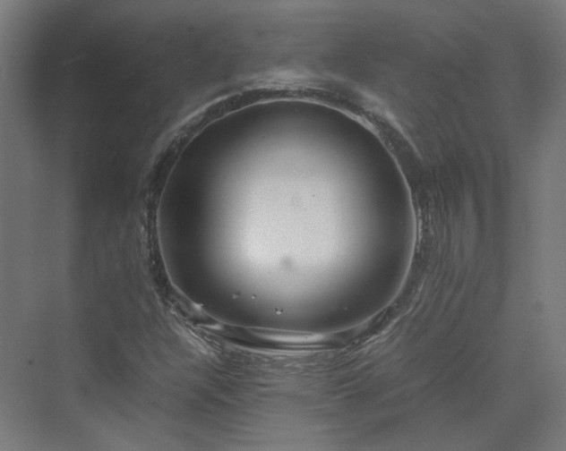 X0000070231304200606021337