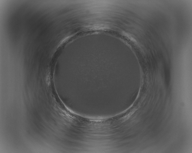 X0000070231306200606021337