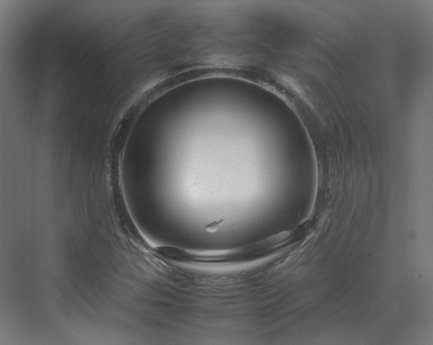 X0000070231307200606021337