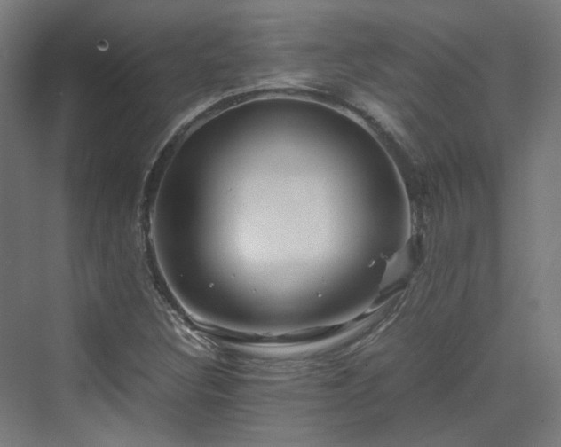 X0000070231308200606021337