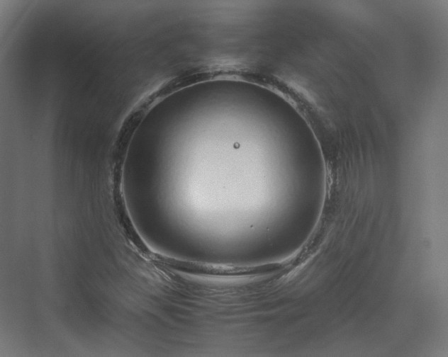 X0000070231309200606021337