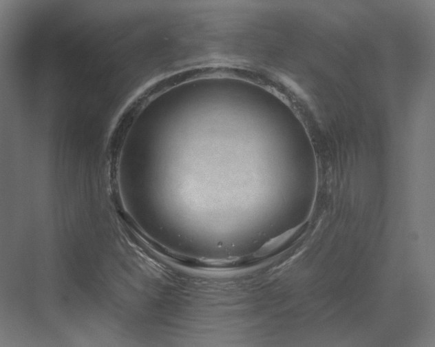 X0000070231310200606021337