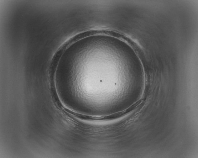 X0000070231311200606021337