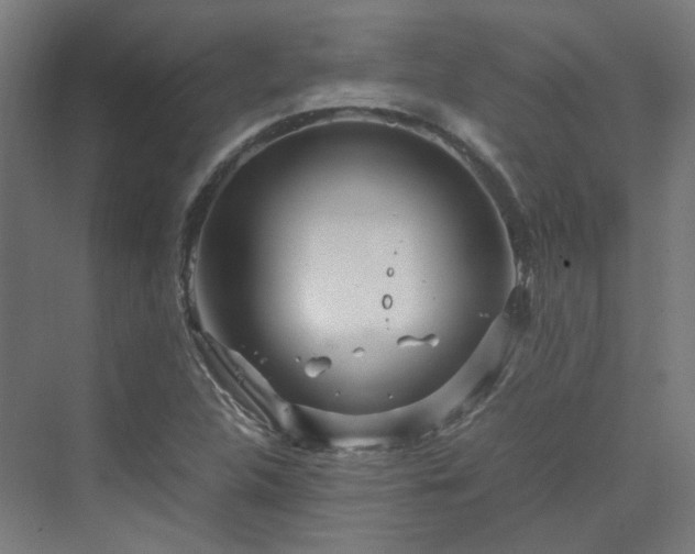 X0000070231312200606021337