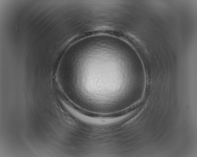 X0000070231313200606021337