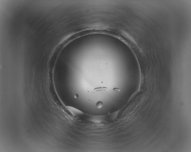 X0000070231315200606021337