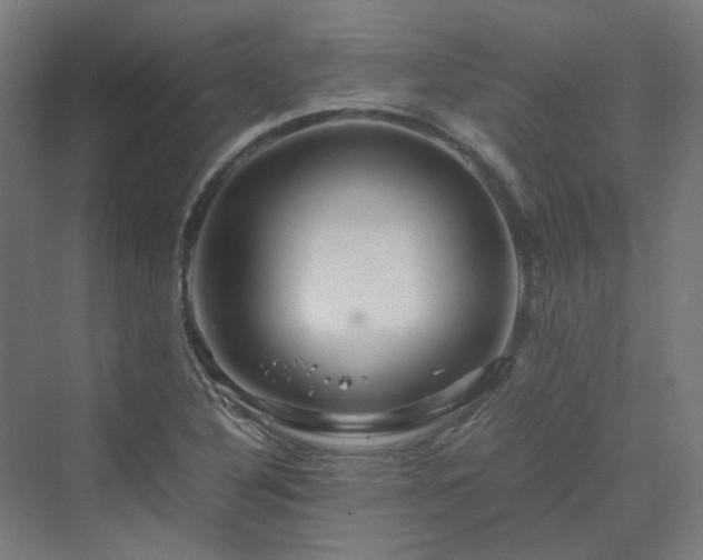 X0000070231316200606021337