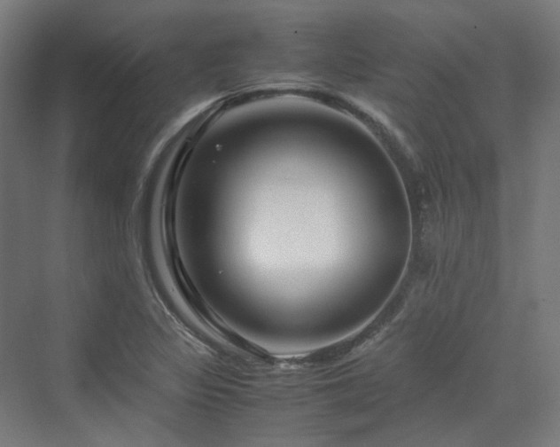 X0000070231317200606021337