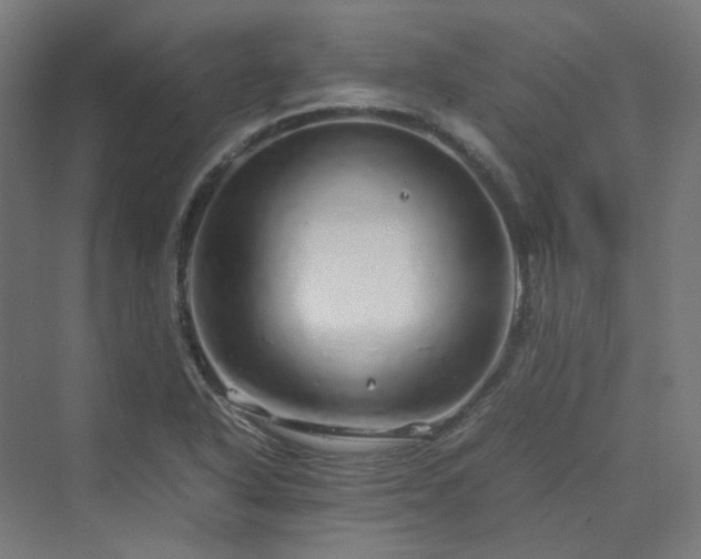 X0000070231318200606021337