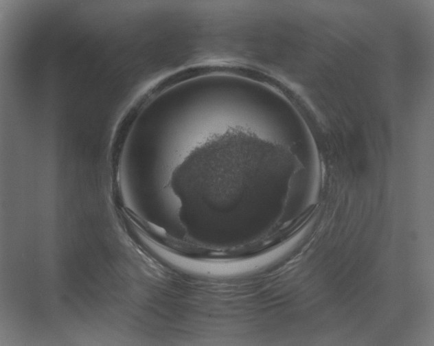 X0000070231319200606021337