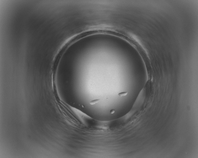 X0000070231320200606021337