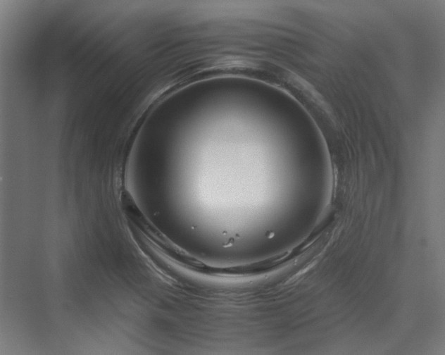 X0000070231321200606021337