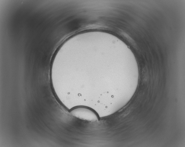 X0000070231322200606021337