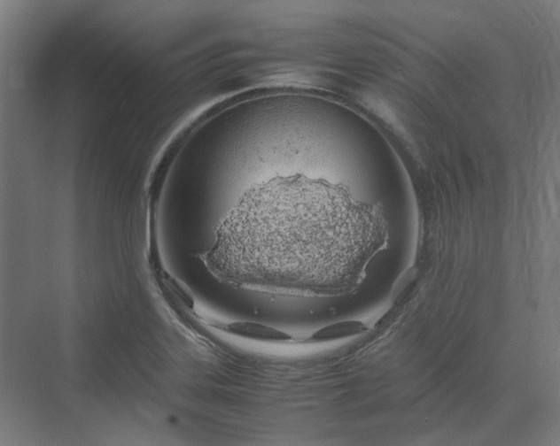 X0000070231323200606021337