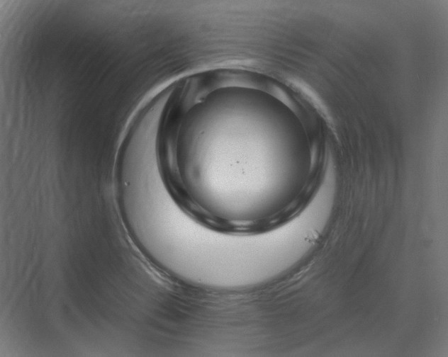 X0000070231324200606021337